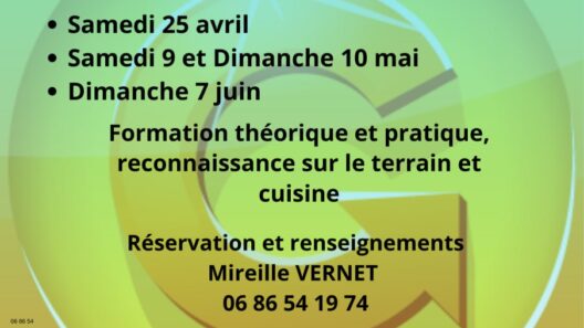 Ateliers plantes sauvages comestibles